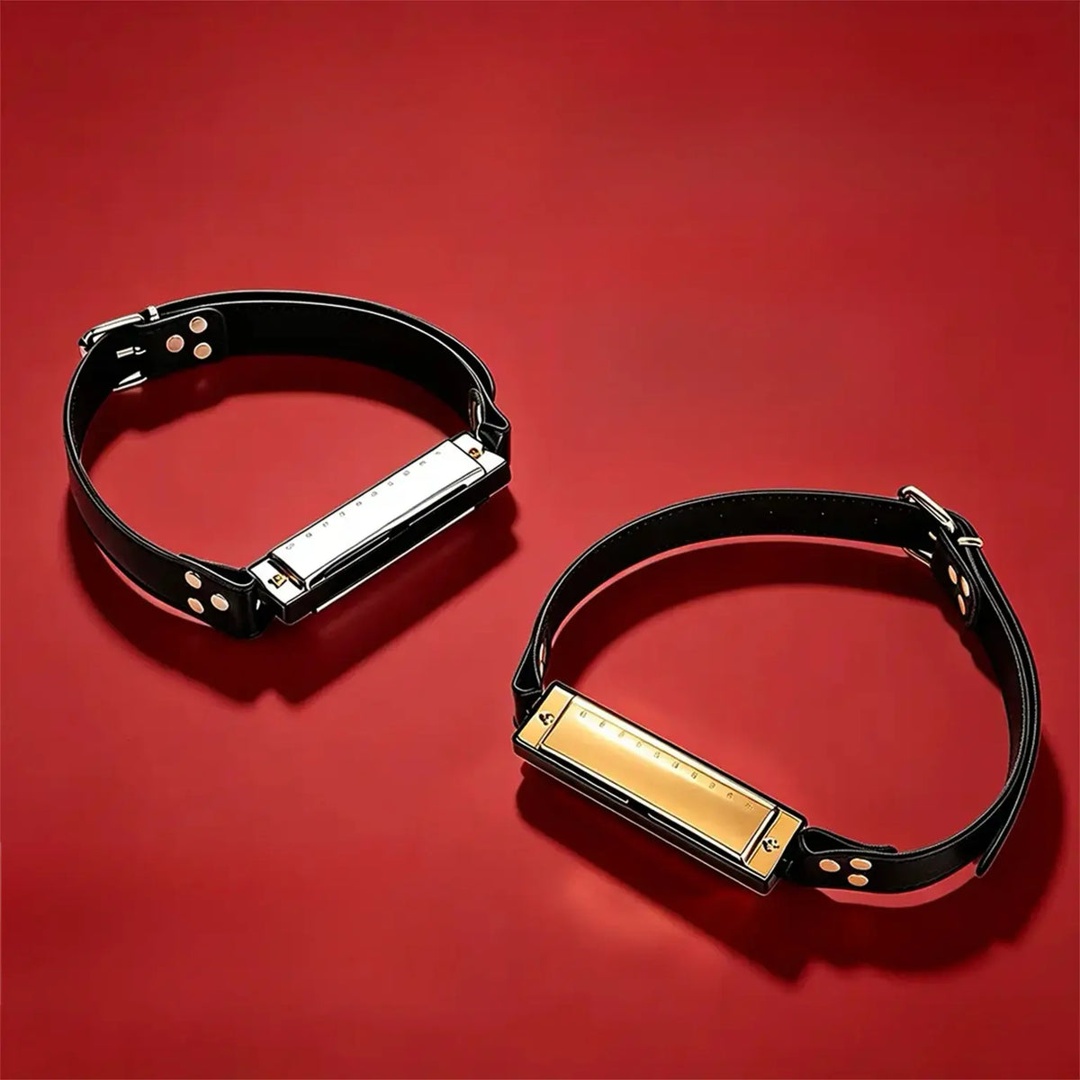 Harmonica Buckle Collar
